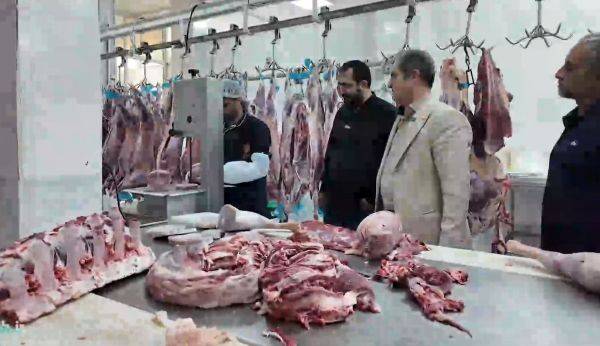 عرضه گسترده اقلام پروتئینی تنظیم بازار در کیش با نرخ مصوب