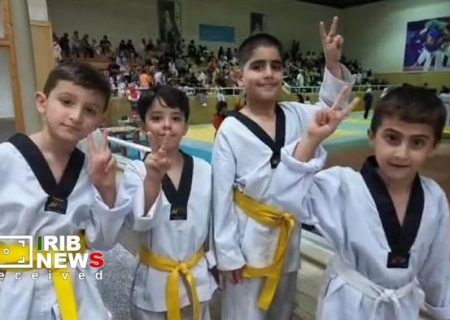 برگزاری باشکوه فستیوال «شکوفه‌های تکواندو» با حضور بیش از ۱۰۰ تکواندوکار خردسال